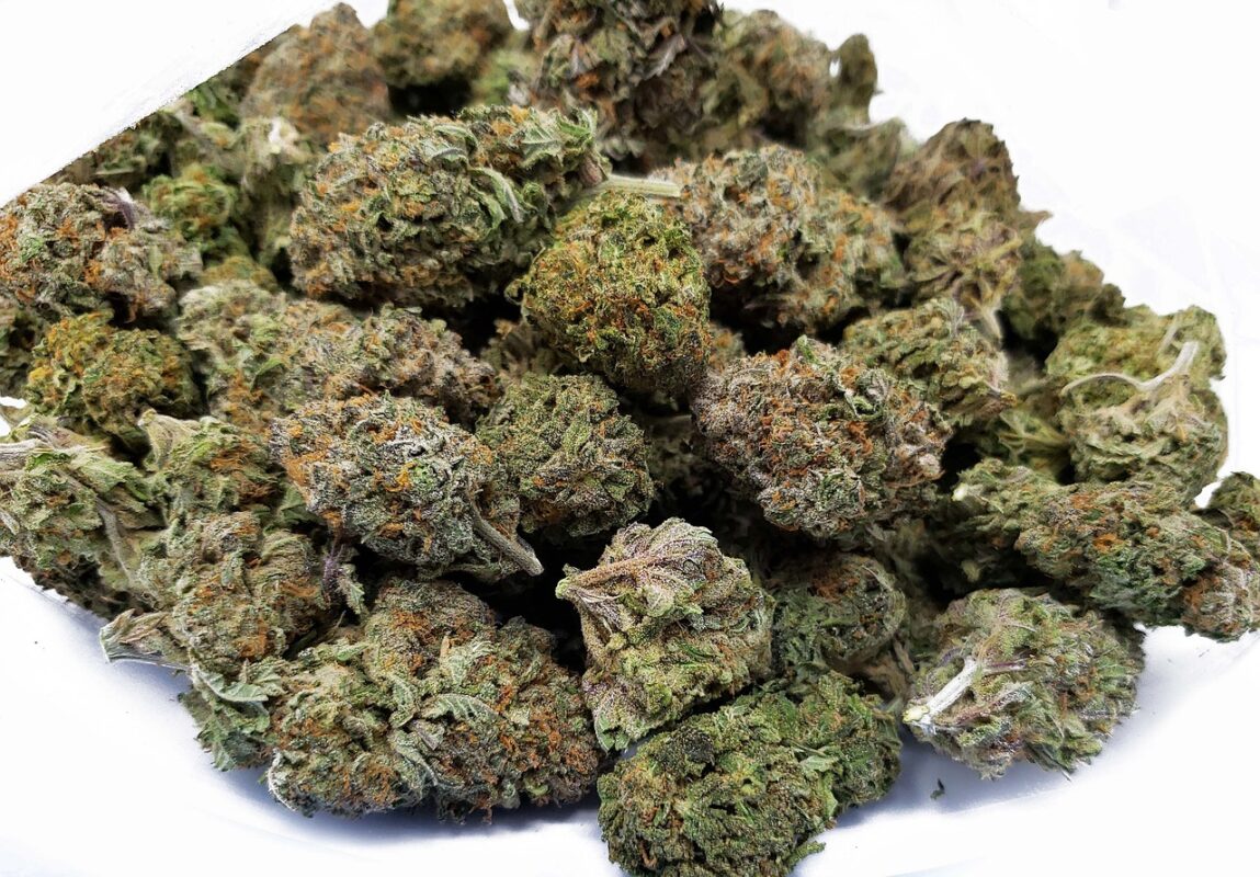 Close-up of dense, high-quality cannabis buds with vibrant green hues and orange pistils, showcasing premium weed products available for same-day delivery in Pitt Meadows by Green Empire Cannabis.